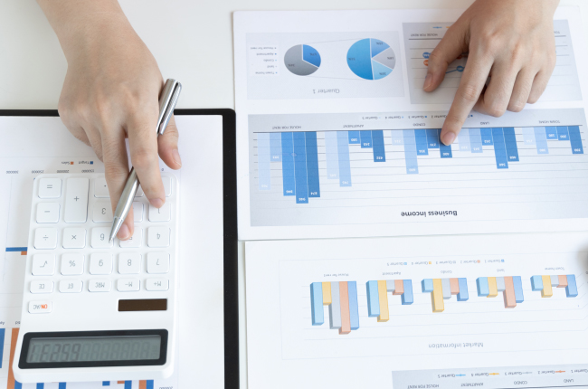 Financial Statement Analysis (HCM)